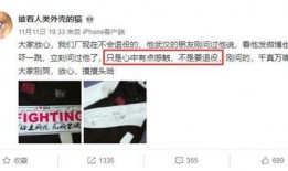 娱乐吃瓜酱背书,娱乐圈背后的那些事儿